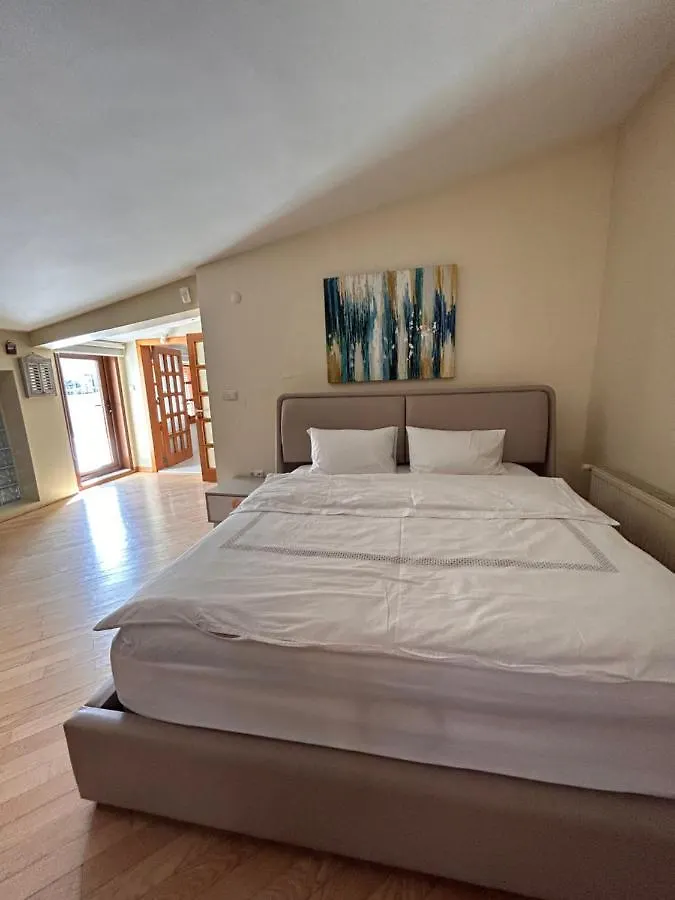 Apartmán A Boutique Duplex Flat In The Best Area In Ankara